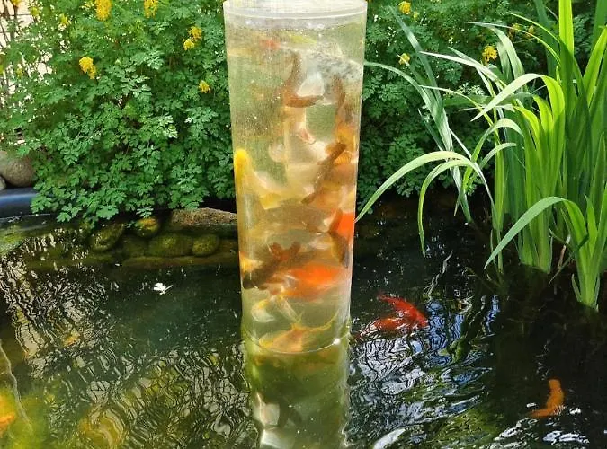 Zur Elbe Casa de hóspedes